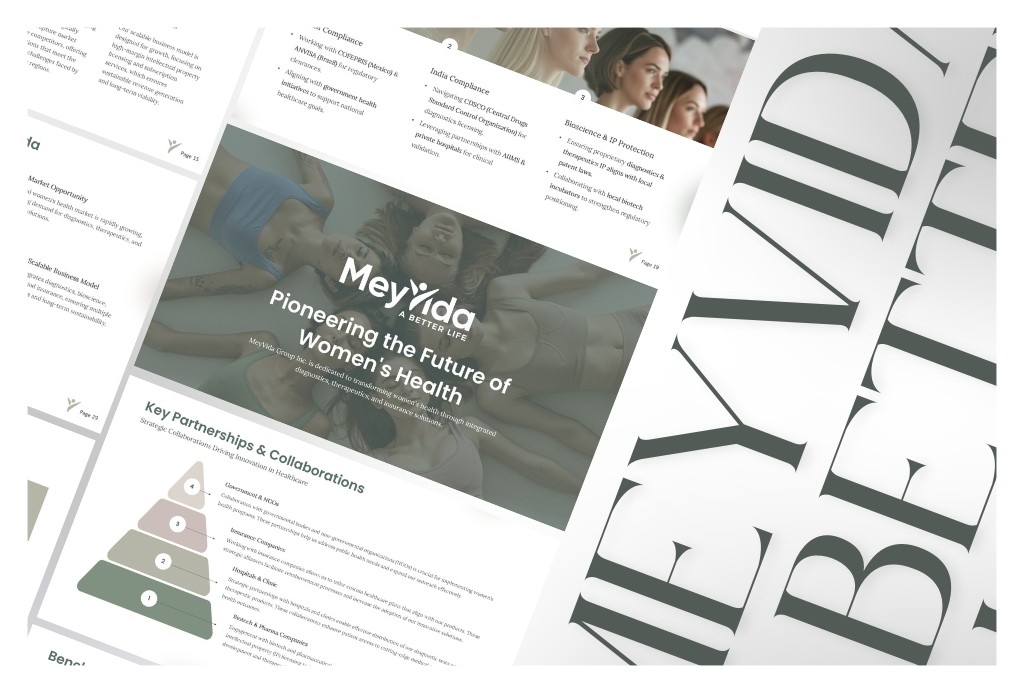Meyvida pitch deck by LoomFactor
