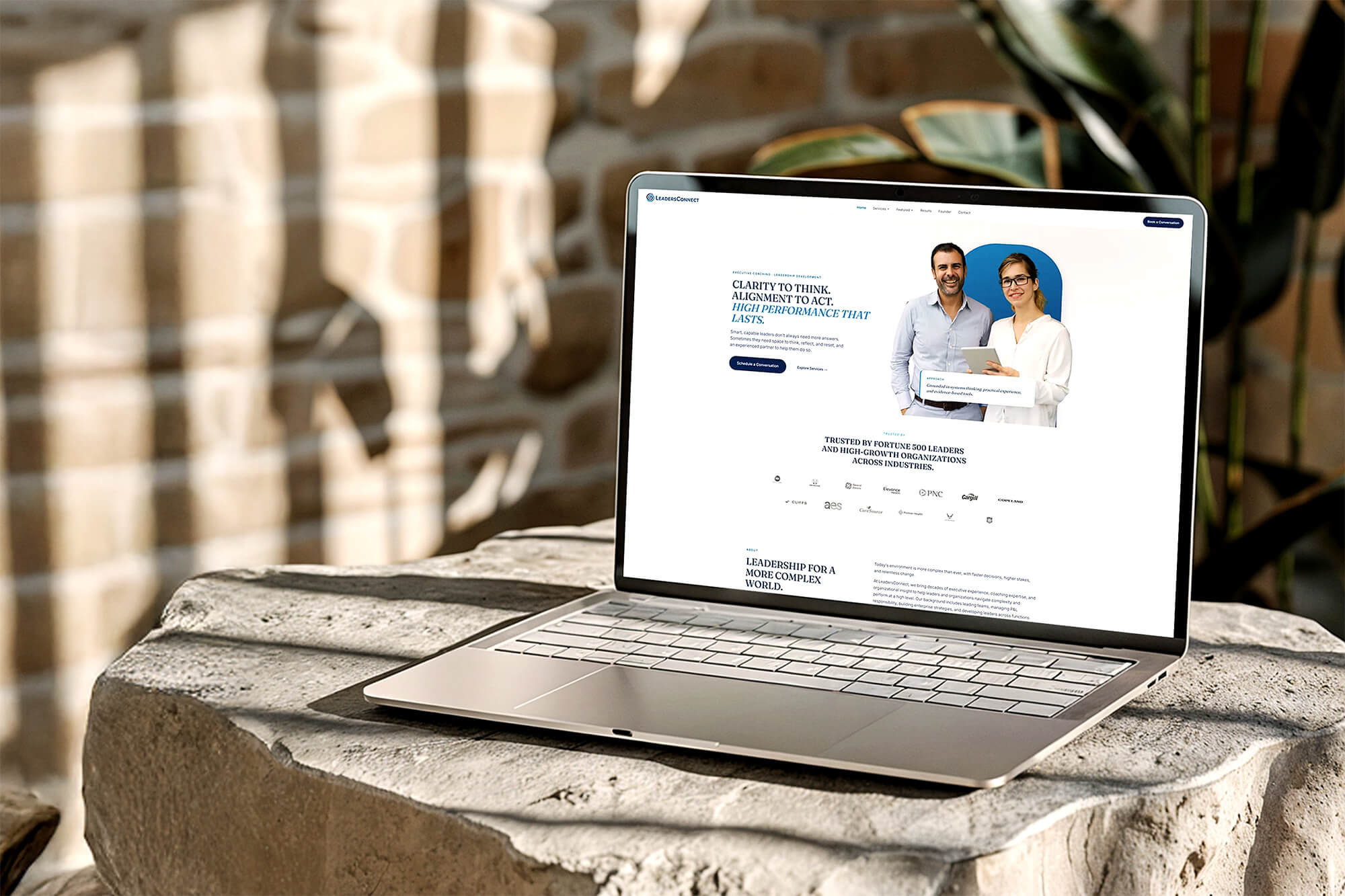 Web design & development